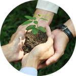 sustainability